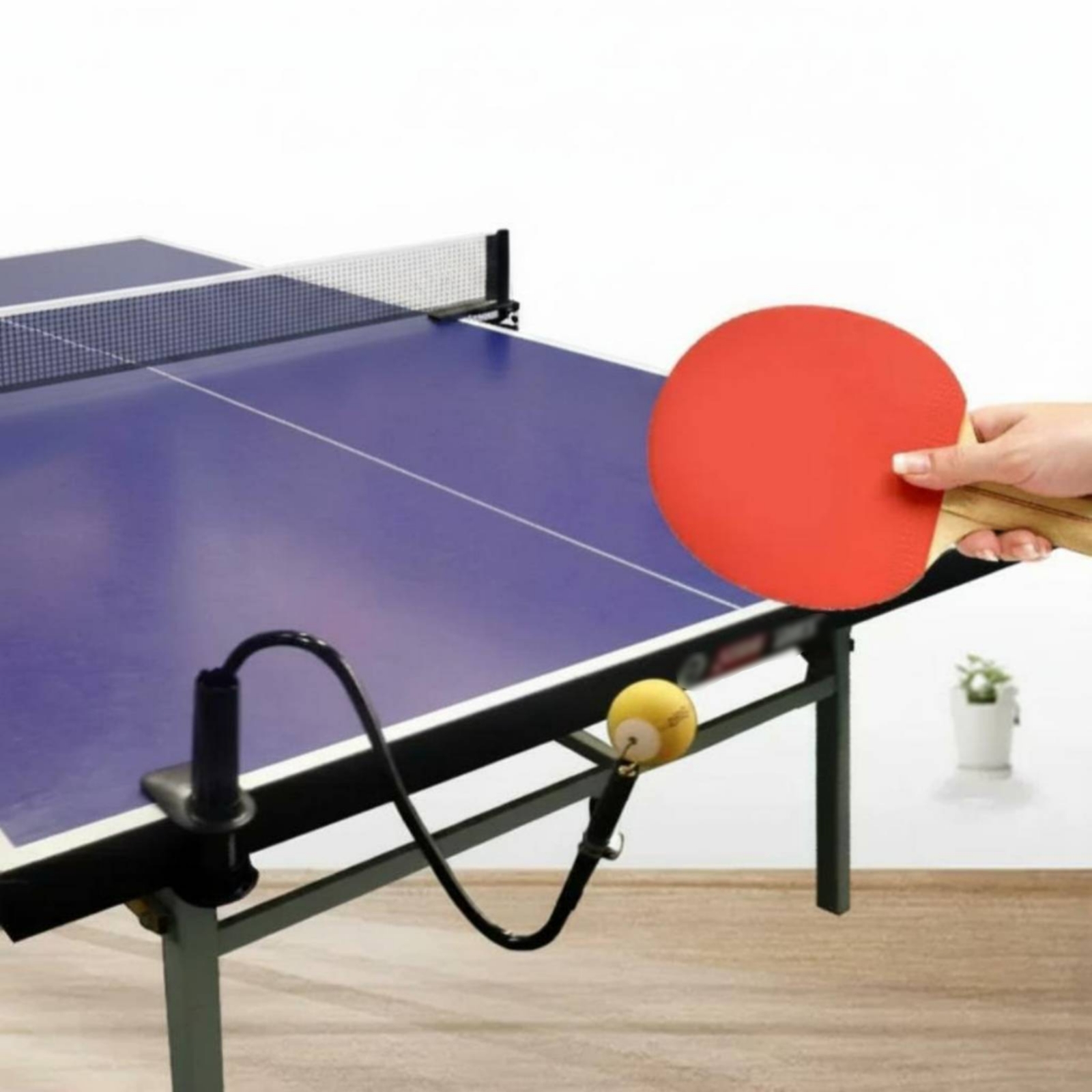 Masa Tenisi Solo Pratik Yardım - Table Tennis Youtube incelemesi ve fiyatı